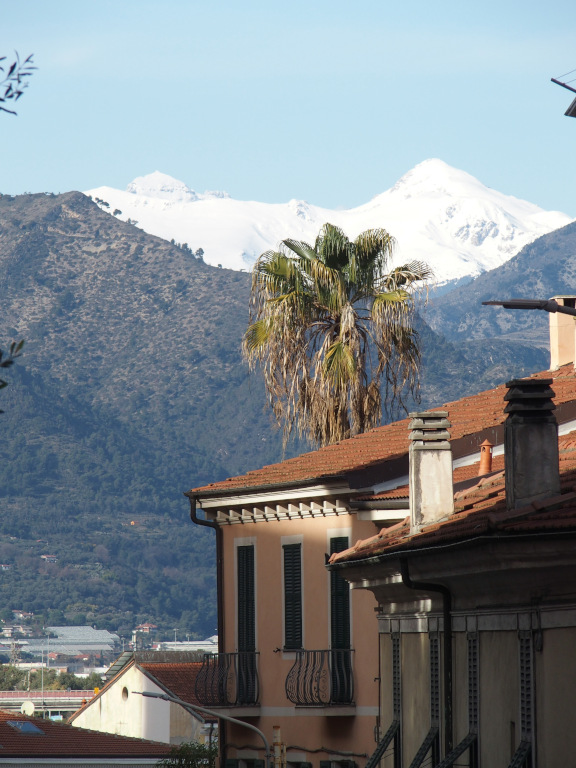 Palme-og-snøfjell-Ventimiglia