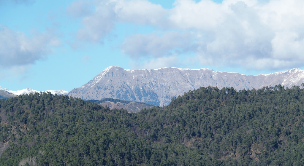 Liguriske alper MT Saccarello sett fra Bajardo.